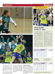 Síða 15