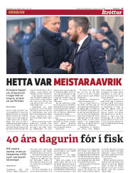Síða 17