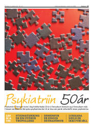 Síða 13