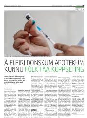 Síða 29