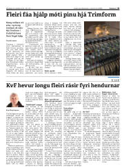 Síða 31