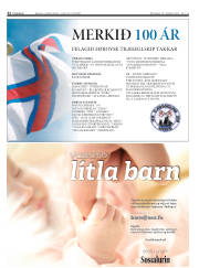 Síða 32