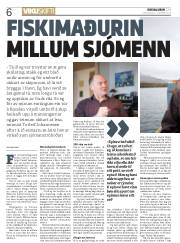 Síða 6