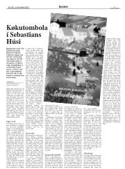 Síða 9