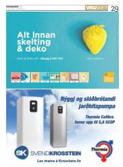 Síða 29
