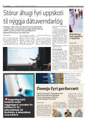 Síða 6