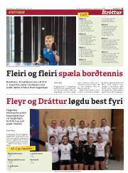 Síða 13
