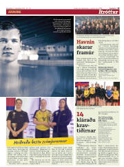 Síða 15
