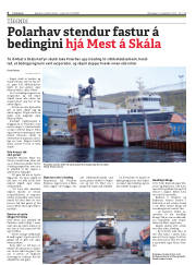 Síða 4