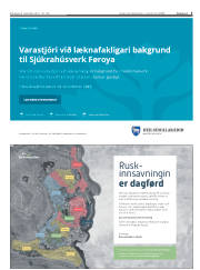 Síða 5