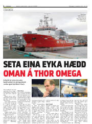 Síða 8