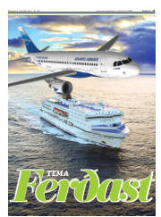 Síða 11