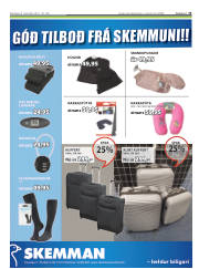 Síða 13