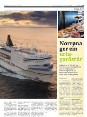 Síða 19