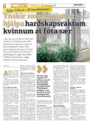 Síða 6