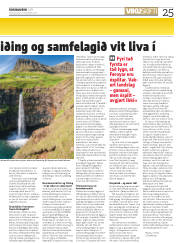 Síða 25
