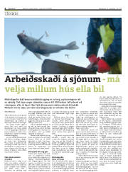 Síða 8