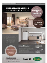 Síða 3
