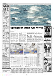 Síða 13