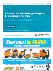 Síða 9