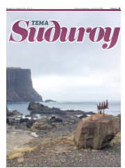 Síða 11