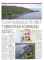 Síða 12