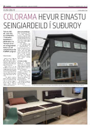 Síða 16