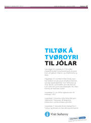Síða 17