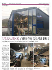 Síða 18