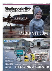 Síða 21