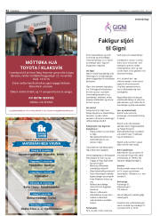 Síða 32