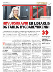 Síða 13