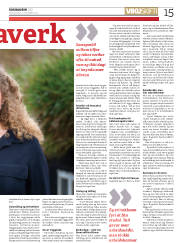 Síða 15