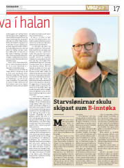 Síða 17