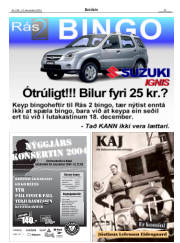 Síða 29