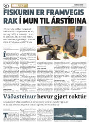 Síða 30