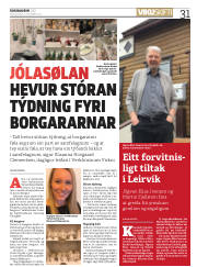 Síða 31