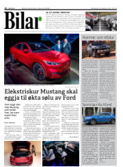 Síða 10