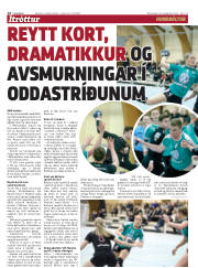 Síða 14