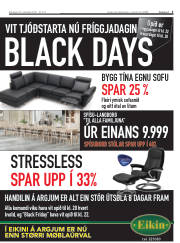 Síða 3