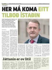 Síða 6