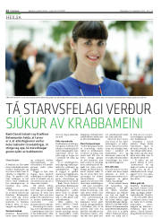 Síða 12
