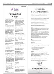Síða 13