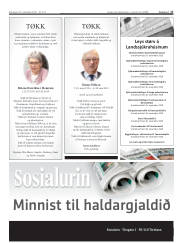 Síða 17