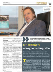 Síða 11