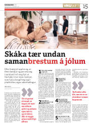 Síða 15