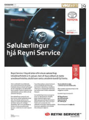 Síða 19