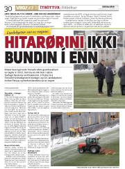 Síða 30