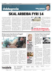 Síða 2