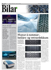 Síða 10